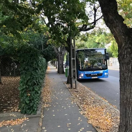Deviza Budapešť