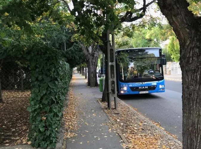 Deviza Budapest